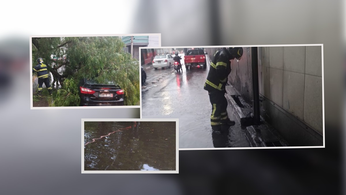 Los bomberos de la Ciudad de México acudieron a las zonas afectadas.