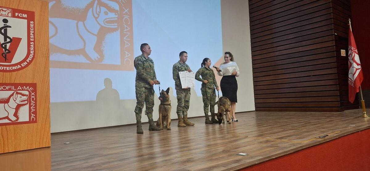 Eros e Hydra reciben reconocimiento.