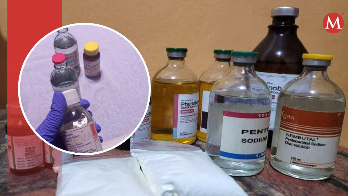 Poblano usó fármaco de uso veterinario para eutanasia clandestina | Especial