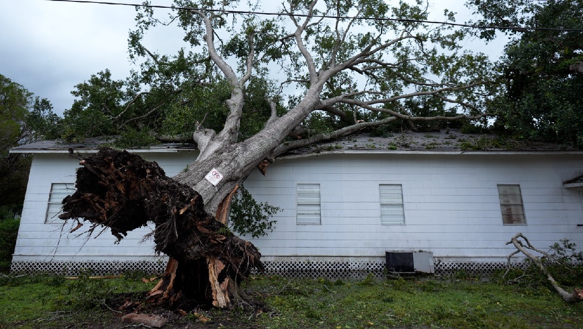 Texas enfrenta desastre tras paso de Beryl: Ocho muertos y sin electricidad | AP