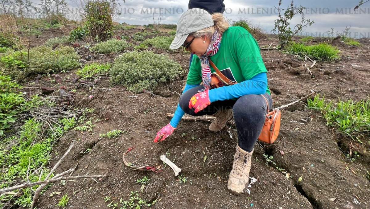 En Chimalhuacán hallaron huesos que serán analizados| Foto: Zuleyma Martínez