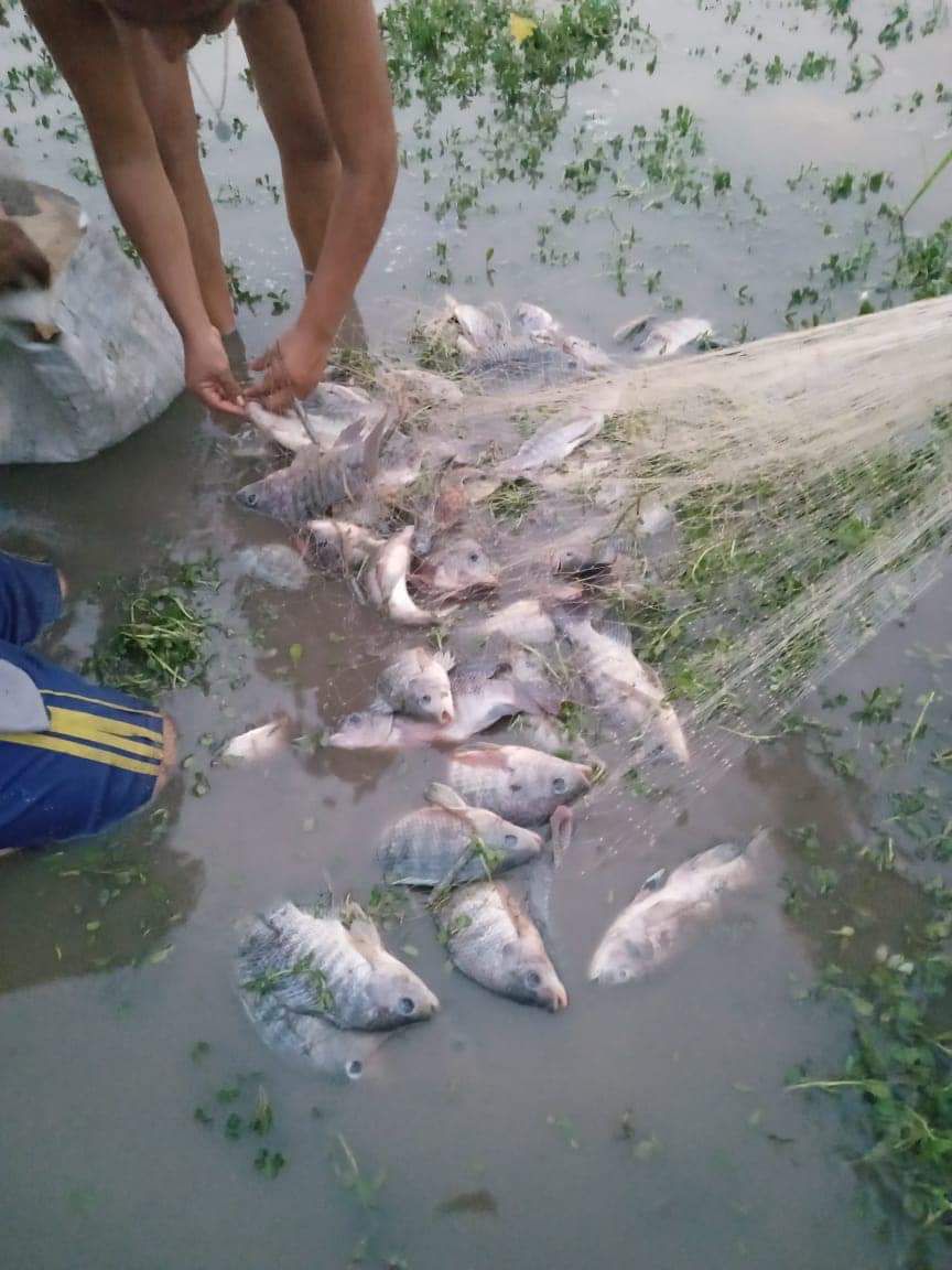 Encuentran peces muertos en el municipio de Hidalgotitlán, Veracruz