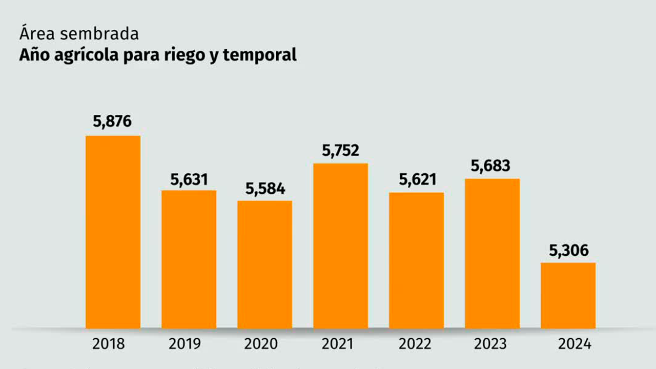 La escasez de espacio de siembra ha causado un incremento en los precios de algunos productos