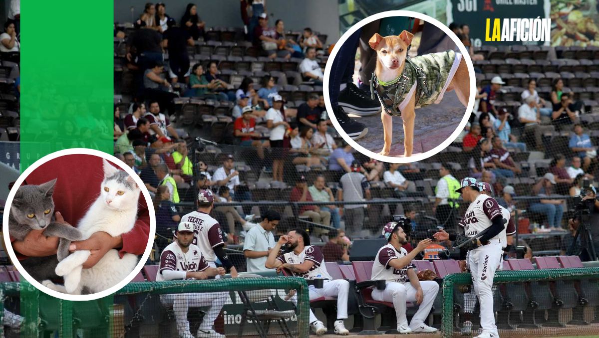 Este domingo podrás levar tu mascota al Revolución. (Especial)