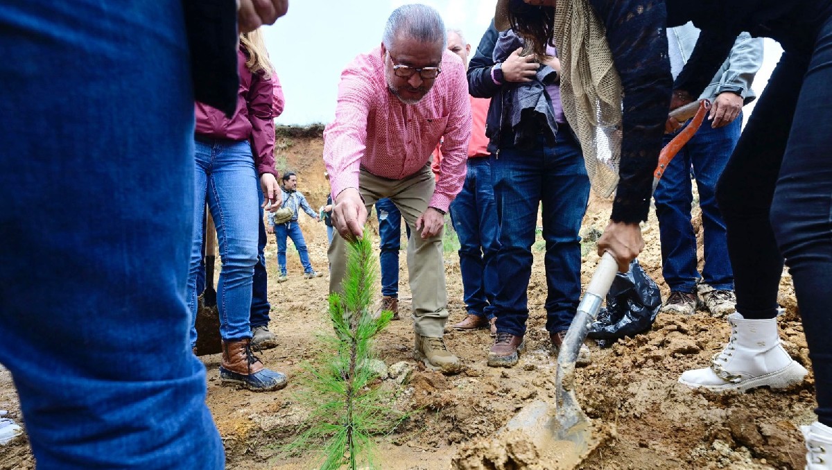 Horacio Duarte promueve reforestación en Temoaya. Foto: (Especial)