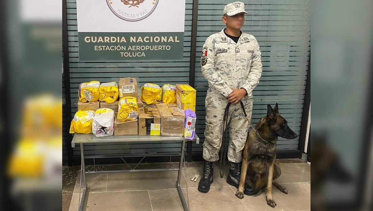 Paquetes fueron asegurados y puestos a disposición del Ministerio Público Federal en la entidad para investigaciones correspondientes. | Especial