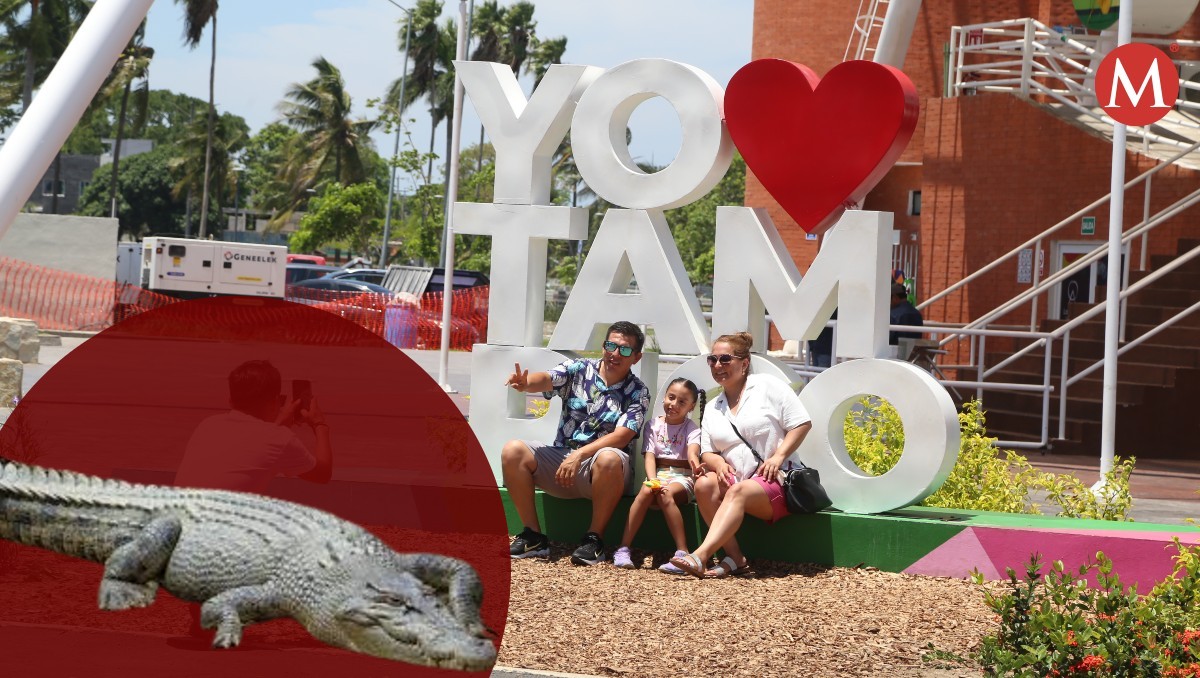 Cocodrilos, principal interés de turistas en Tampico desde hace 5 años