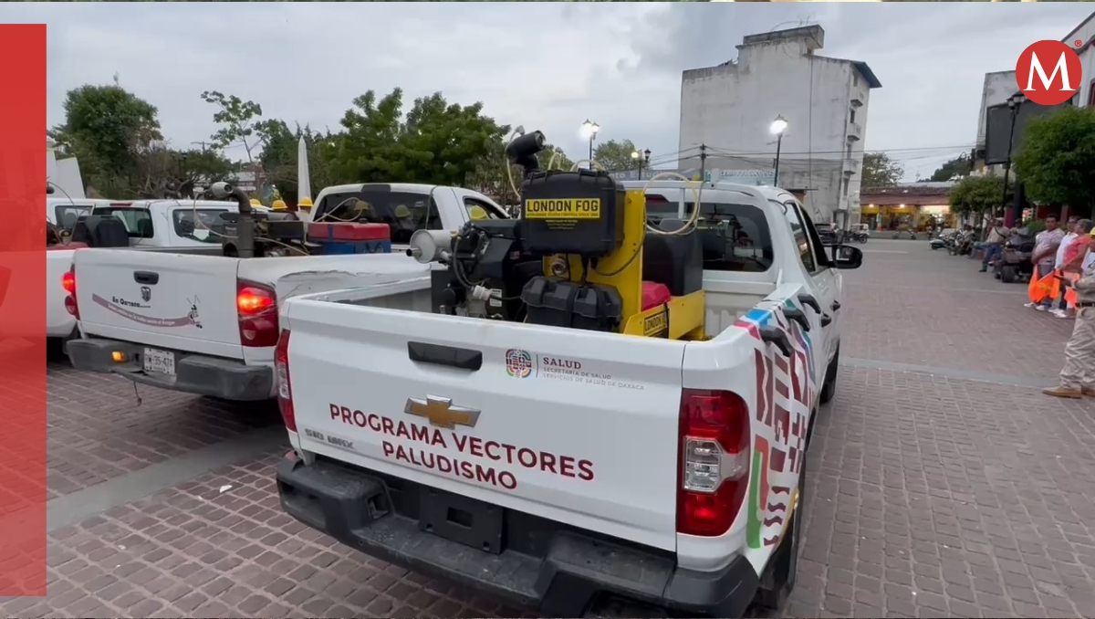 La Costa de Oaxaca acumula 122 casos confirmados de dengue; despliegan plan de control. | Especial