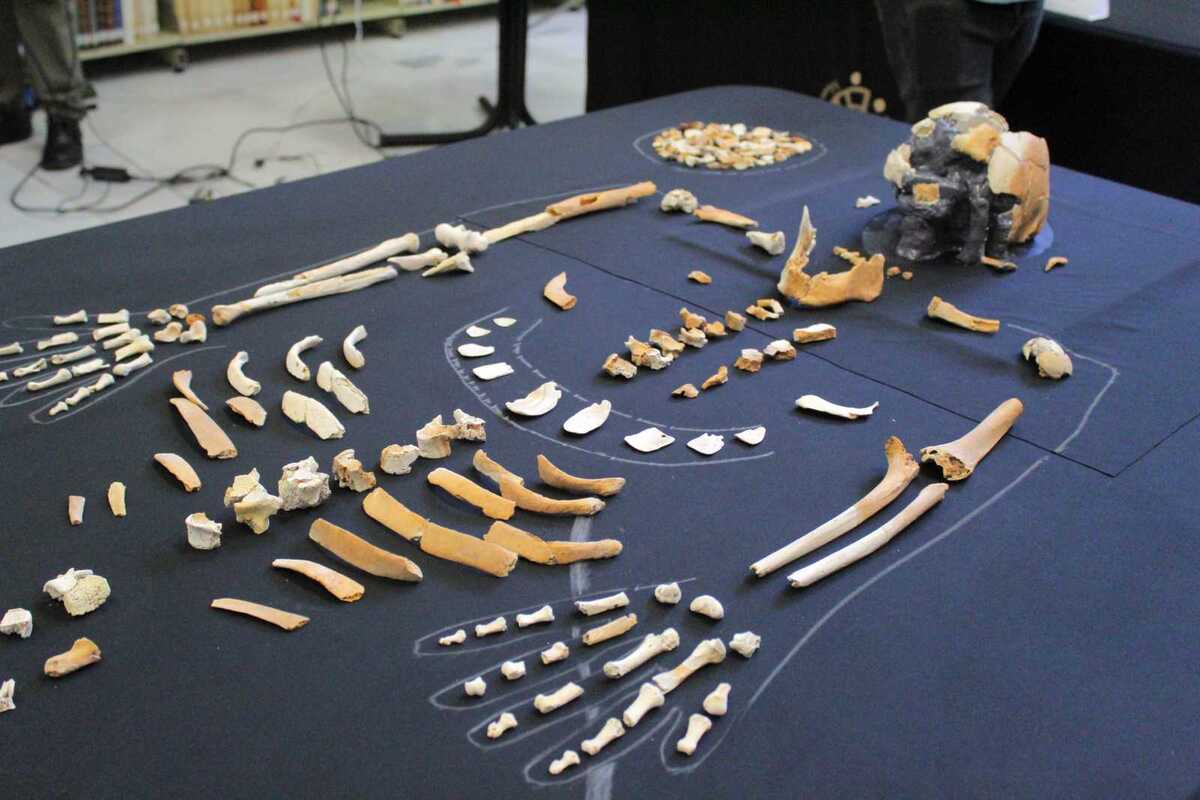 INAH y Secretaría de Turismo buscan las condiciones para poderlo presentar al público.