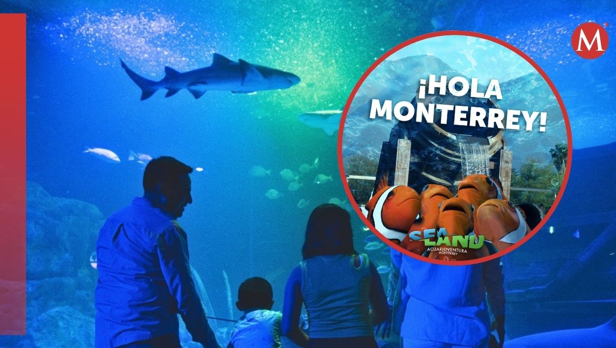 Sealand Monterrey: Será un acuario permanente ubicado en Galerias VO