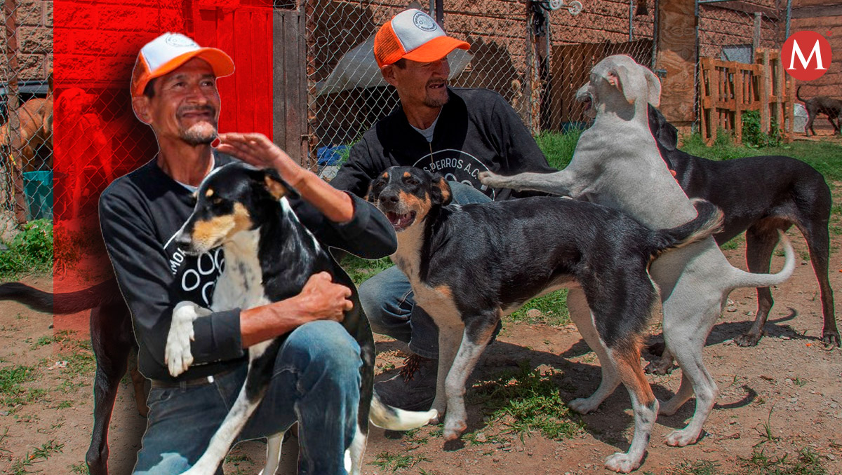 Don Paco y Huesitos: de la calle a un hogar en Amor Es Perros, Puebla | Melanie Torres