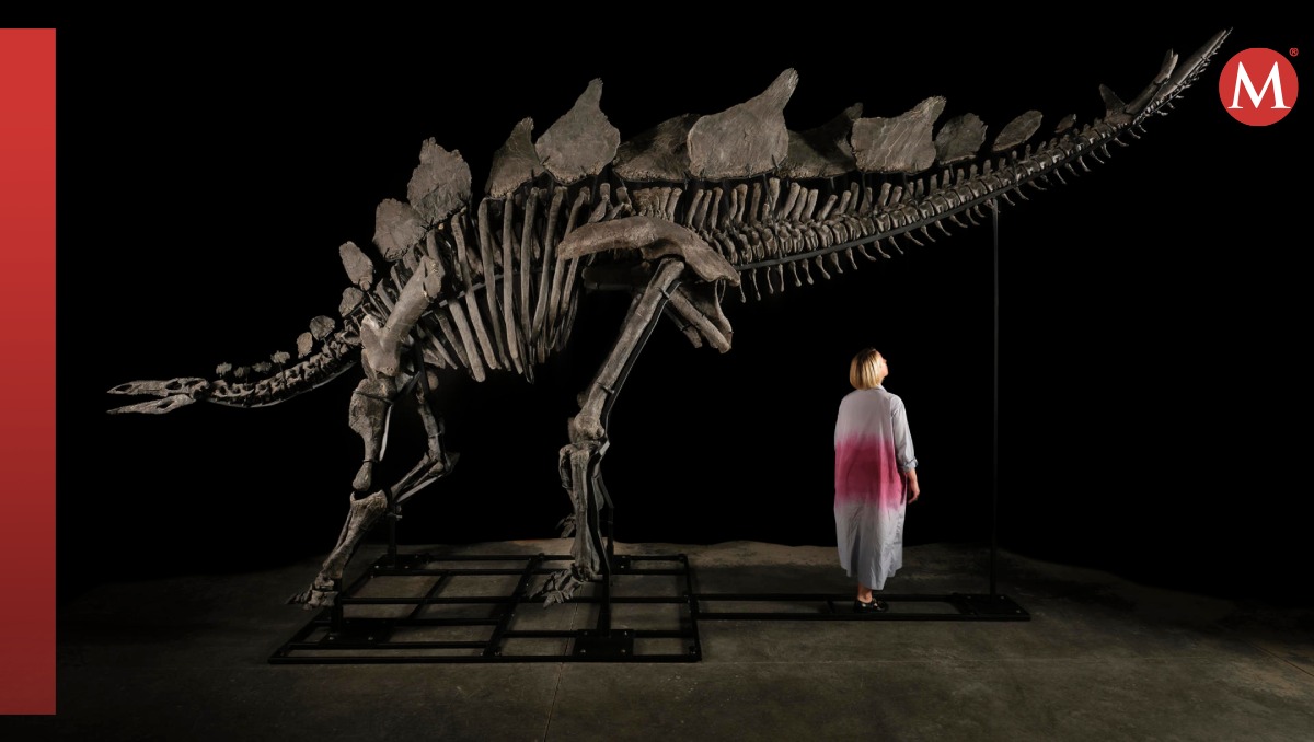 Esqueleto de dinosaurio Apex se vende por 44,6 millones