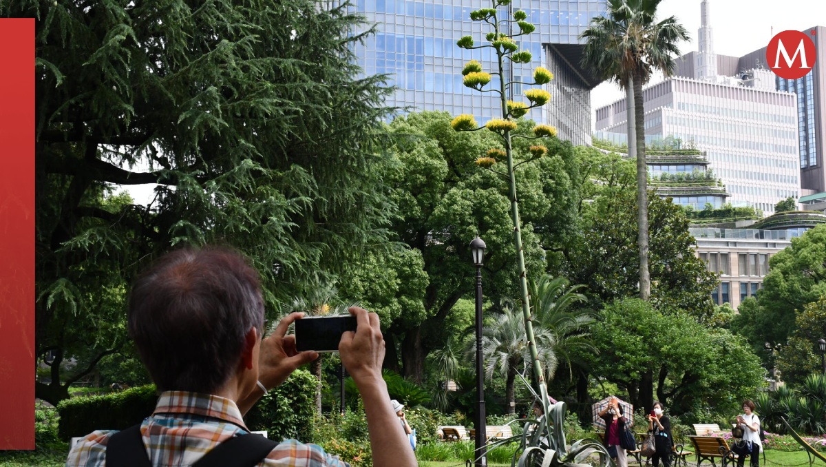 La planta tiene más de 60 años en el sitio. | EFE