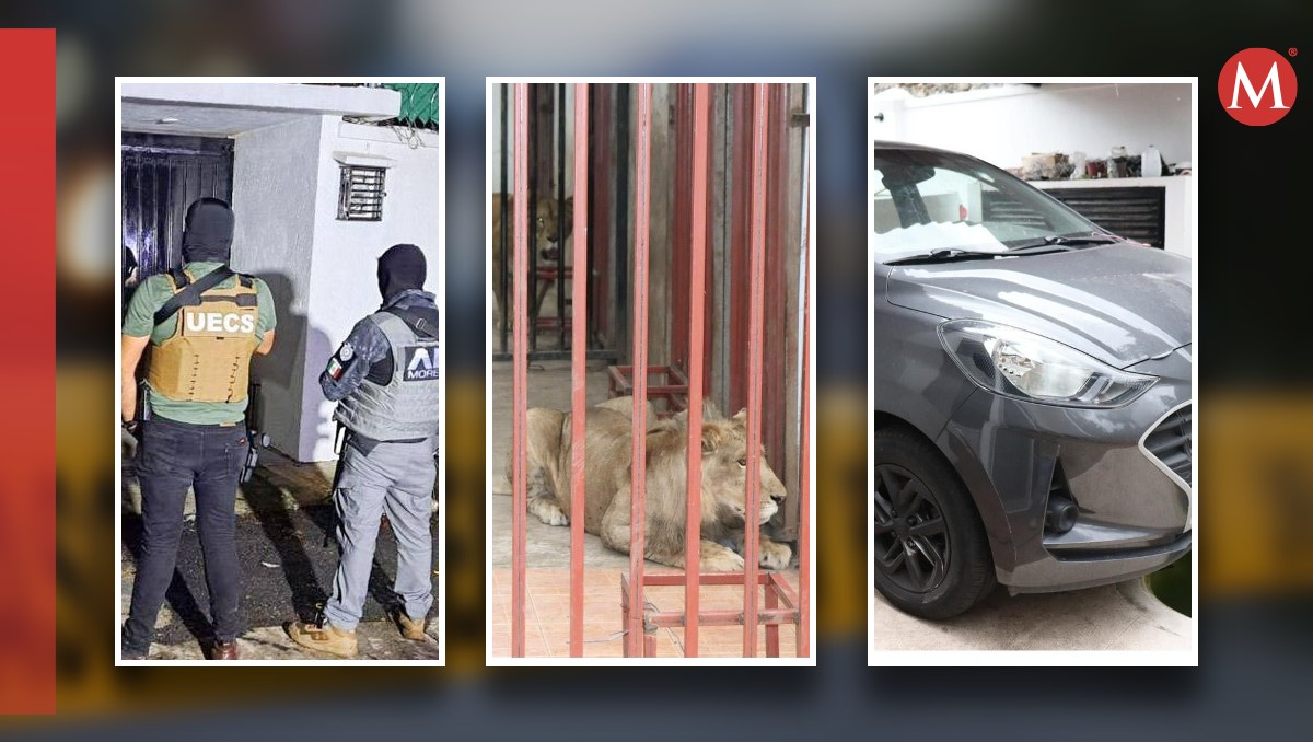 Morelos: Fiscalía y Sedena desmantelan red delictiva en Cuernavaca | Especial