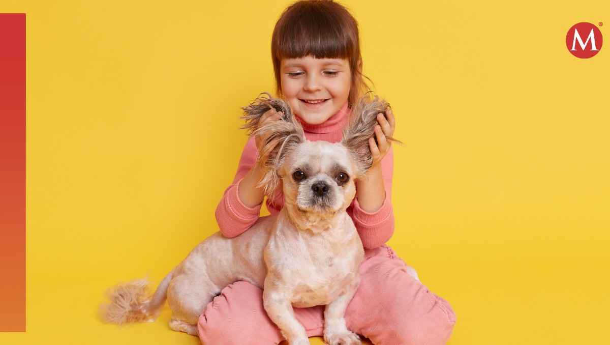 Por qué no es malo considerar a nuestros perros como “hijos”