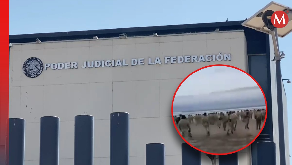Audiencia de vinculación para teniente coronel acusado por muerte de cadetes | Especial