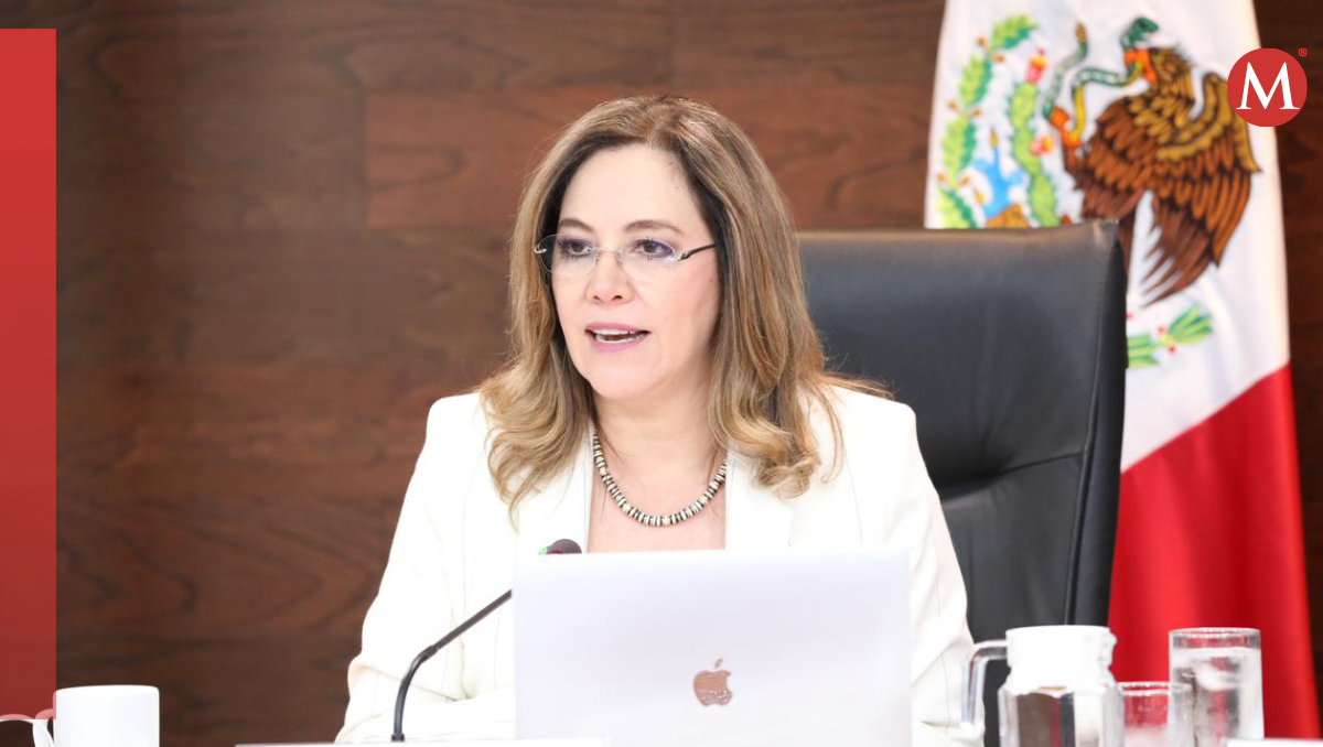 Comisionada del INAI, Blanca Lilia Ibarra Cadena. | Especial.