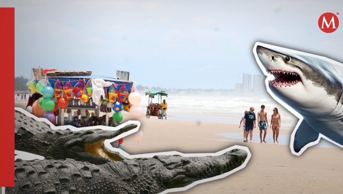Descartan peligro por cocodrilos y tiburones en playa de Tamaulipas. (Especial)
