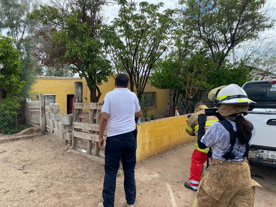 Enjambre de abejas ataca a mujeres.