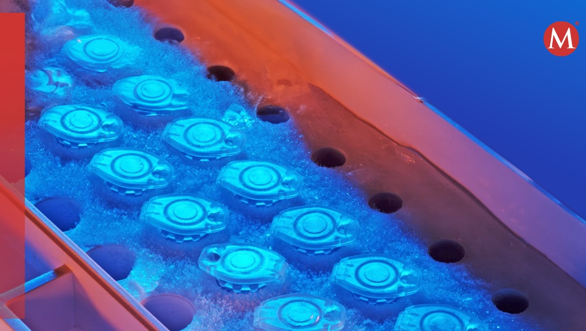 Neurorepositorios, bibliotecas biológicas para tratamientos innovadores