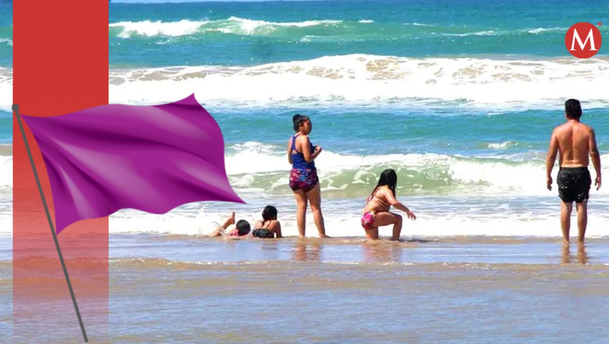 Tamaulipas incluye bandera morada por alerta de cocodrilos y tiburones
