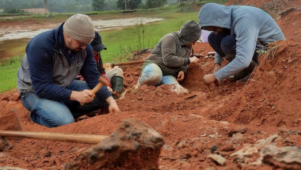 Inundaciones revelan fósil histórico de dinosaurio en Rio Grande do Sul, Brasil | EFE