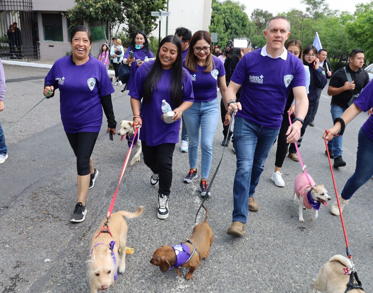 La caminata contó con la participación de 80 caninos.