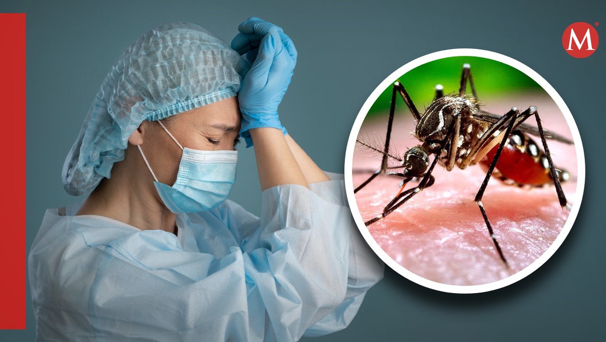Mosquitos: ¿Qué enfermedades pueden provocar? | Freepik y archivo