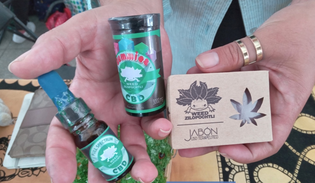Estos son algunos de los productos con CBD que ofrecen al  público. (Alejandro Evaristo)