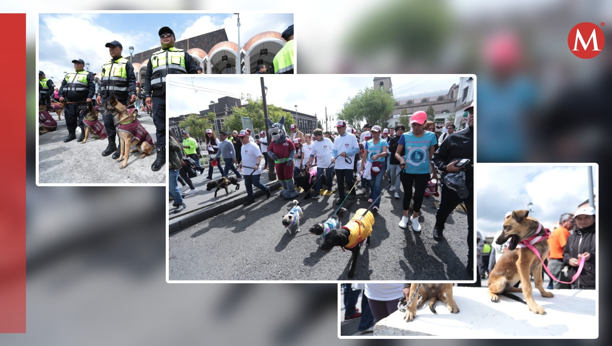 Caminata por el Bienestar Animal en Edomex. Foto: (Tania Contreras)
