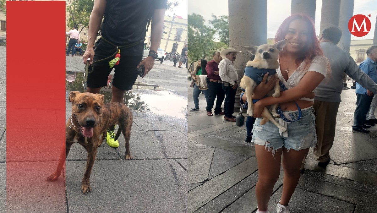 Tapatíos celebran a sus perritos en el Centro. (Josefina Ruíz)