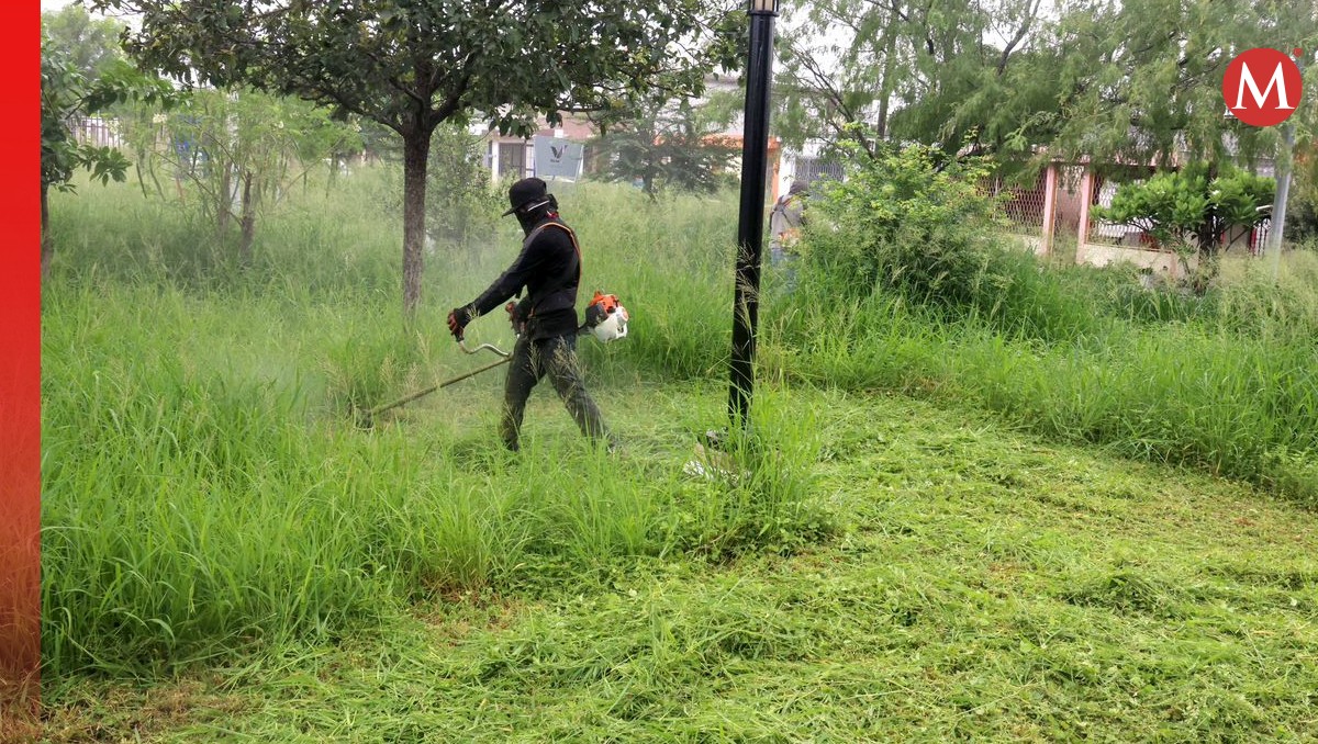 Comienzan la limpieza de áreas verdes en San Nicolas. Especial