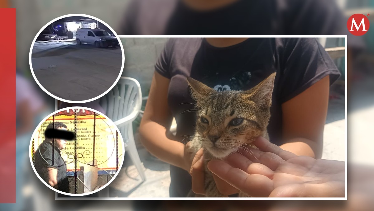 El video de un hombre agrediendo a una gatita en Torreón se viralizó. (Kirk Castillo)