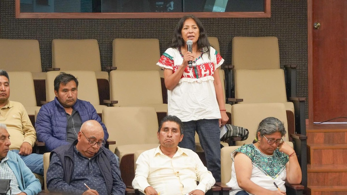 Ángeles Cruz hermana de víctima del conflicto agrario en Oaxaca / Cortesía