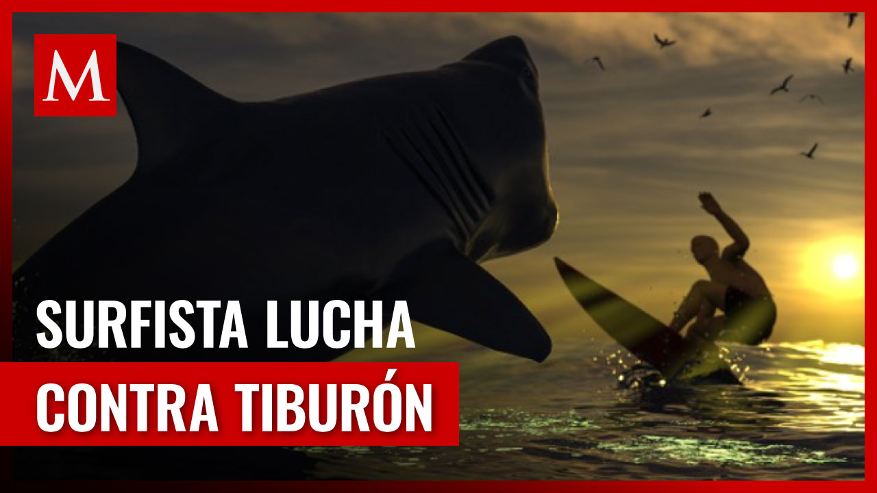 Joven lucha contra tiburón blanco de tres metros en Australia
