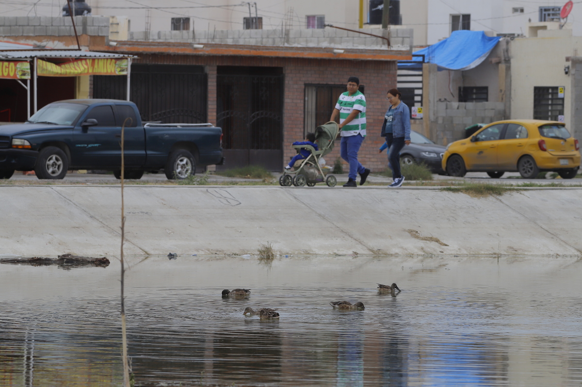 Campo Nuevo en Torreón. | Manuel Guadarrama