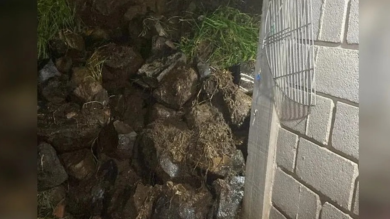 Familia queda atrapada en su domicilio tras desprendimiento de barda en Tlalpan, CdMx