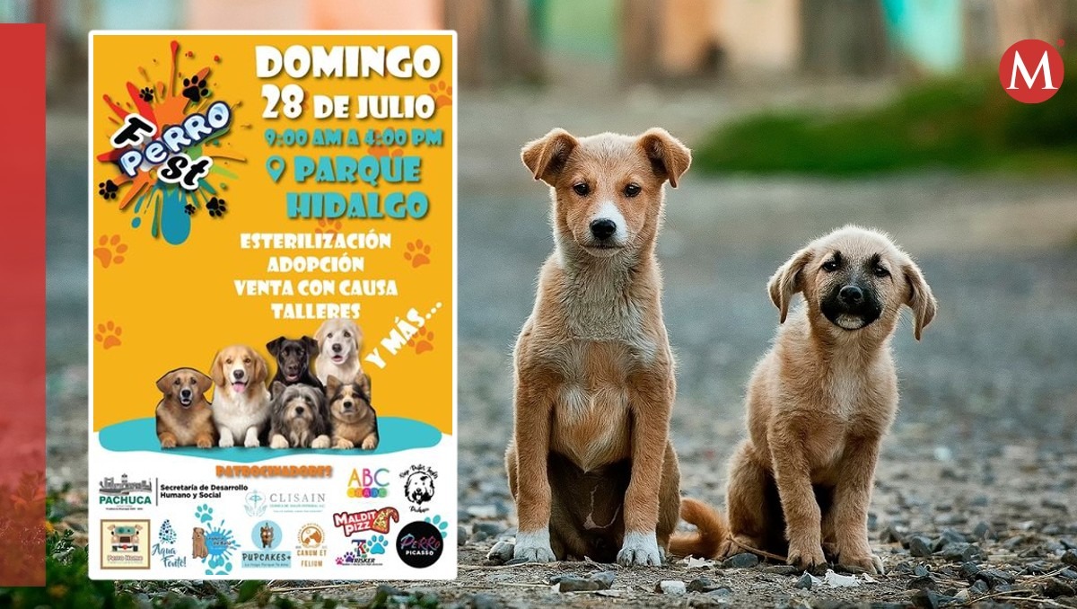 Invitan colectivos de protección animal en Pachuca a la quinta edición del Perro Fest