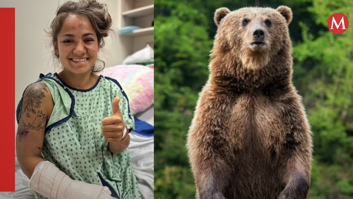 Mujer se salva de oso por pinza de su cabello