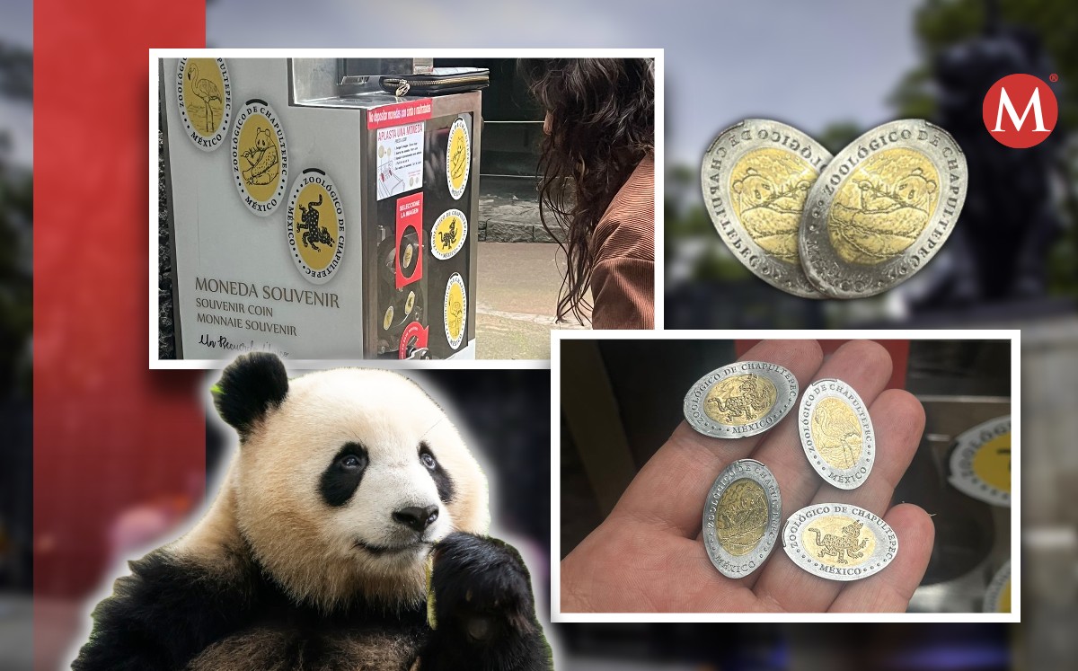 El Zoológico de Chapultepec conmemora sus 101 aniversario. Fotos: Secretaría del Medio Ambiente/ Diseño: Alejandra Zúñiga.