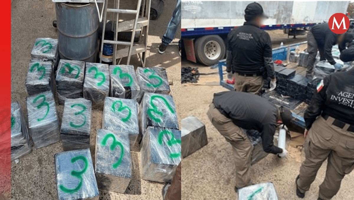 Operativo en Sinaloa: incautan gran cantidad de droga en Campo El Diez | Especial