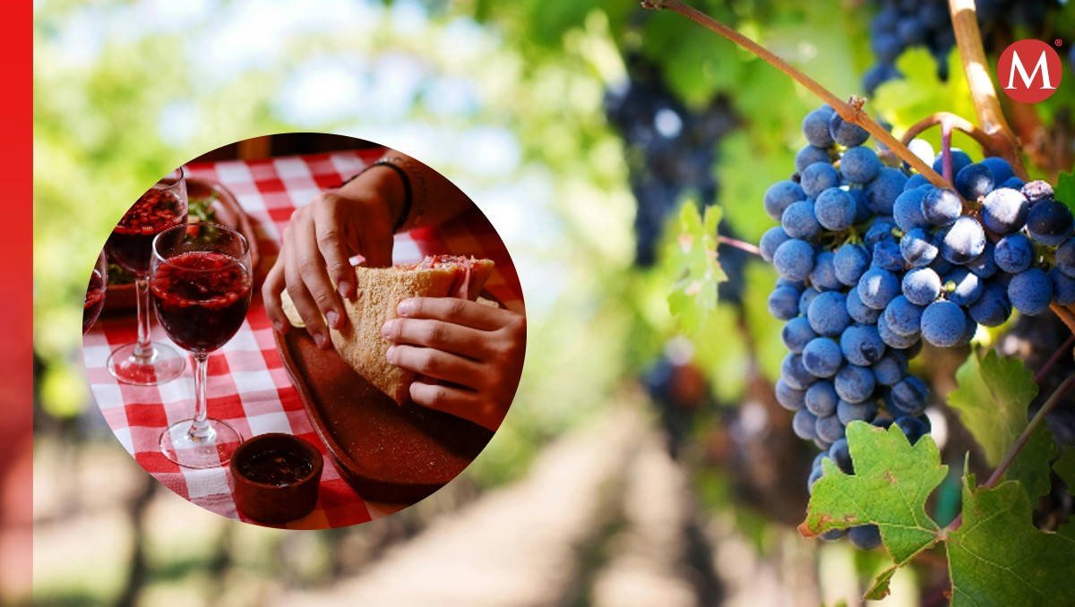 Sé parte de "La Ruta del Vino 2024" en Aguascalientes.