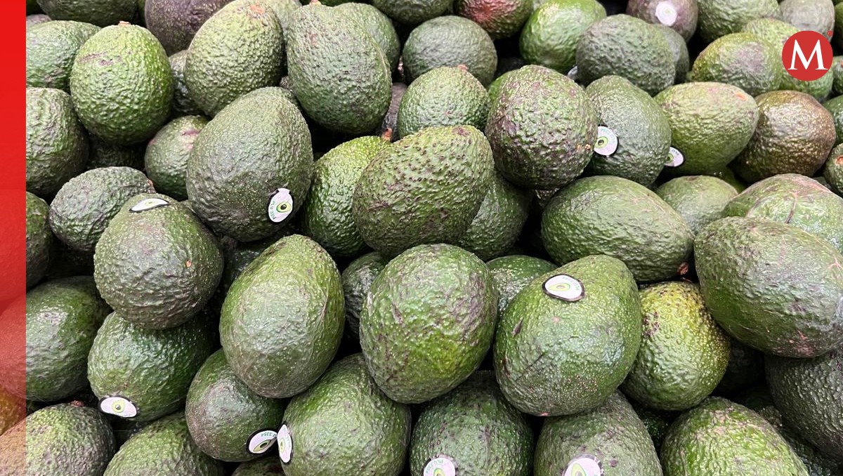 El aumento en el costo del aguacate se debe a la oferta y demanda. | Especial