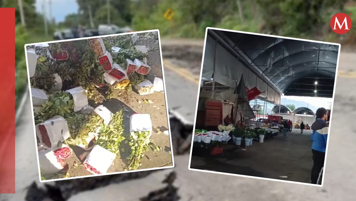 Cae venta de flores por socavón en carretera Tenango-Tenancingo. Foto: (Especial)