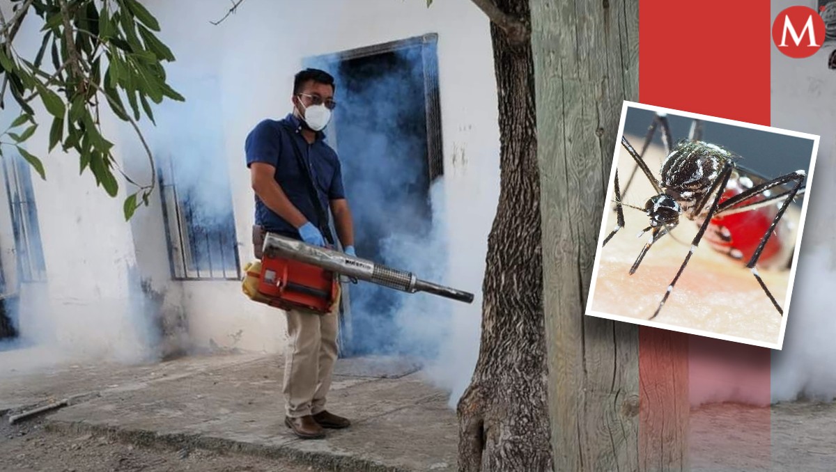 Fumigan para acabar con el mosco del dengue en Tamaulipas.