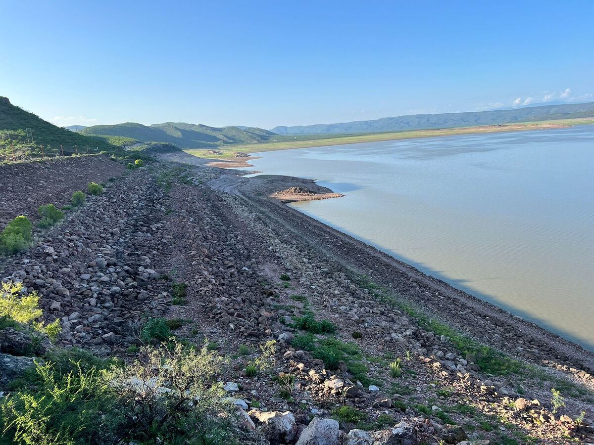 Presa "El Palmito". | Especial
