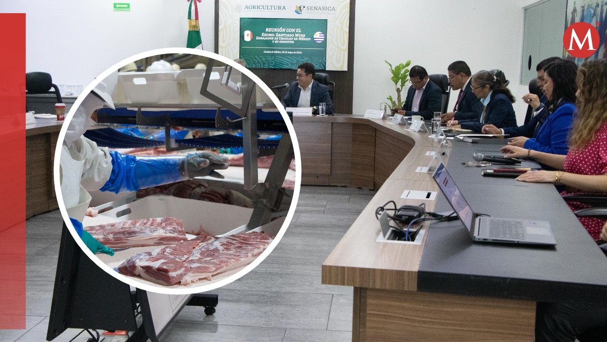Senasica implementa protocolos de sanidad con alimentos de origen animal | Especial