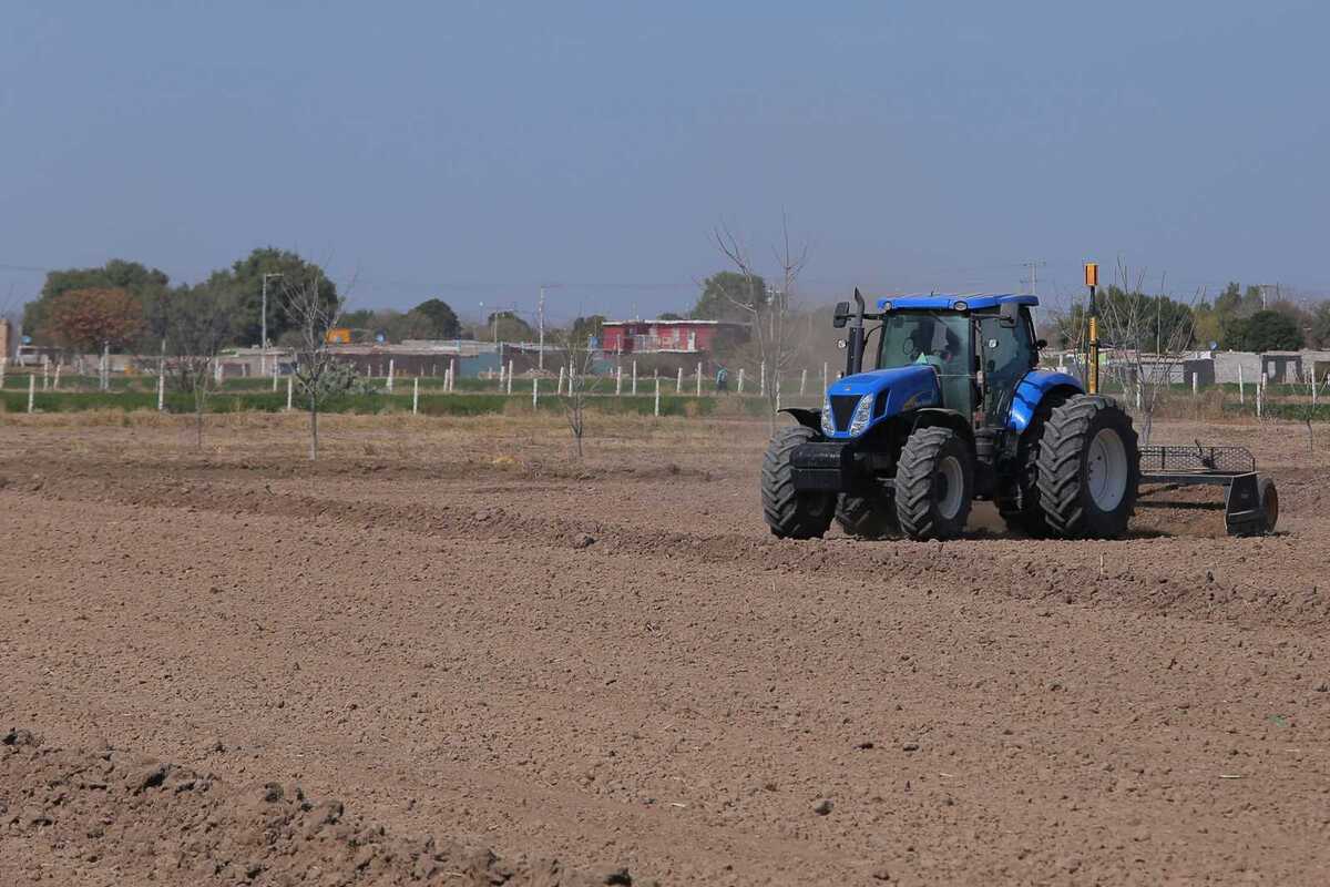 Los beneficiarios destacan el precio y calidad del producto para una mejor cosecha. | Archivo