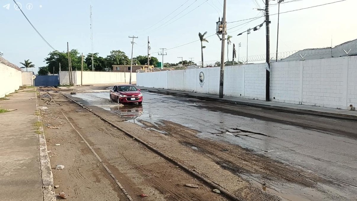 Escurren residuos químicos en colonia de Tampico. (Reynaldo Gutiérrez)
