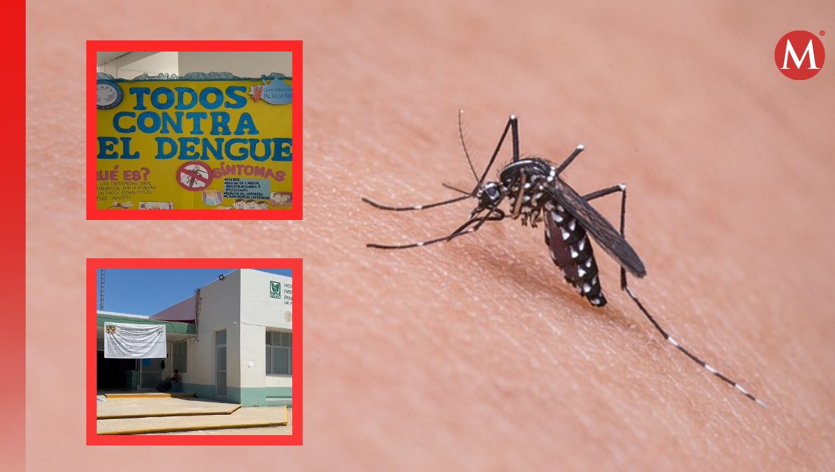 Autoridades sanitarias activaron alerta de contagios de dengue en cinco municipios de Oaxaca | Especial